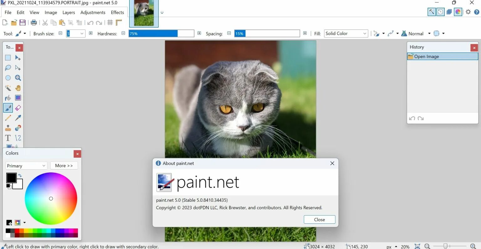 Paint net 5.0. Paint net 5.0
