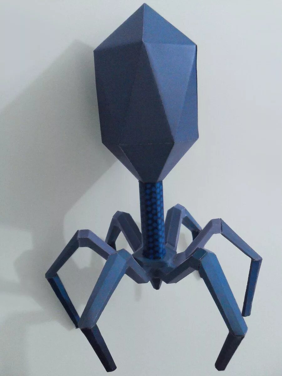 вирус бактериофаг 5 класс биология. изготовить модель икосаэдра. вирус из бумаги своими руками. модель вируса с названиями. модель вируса бактериофаг из бумаги.