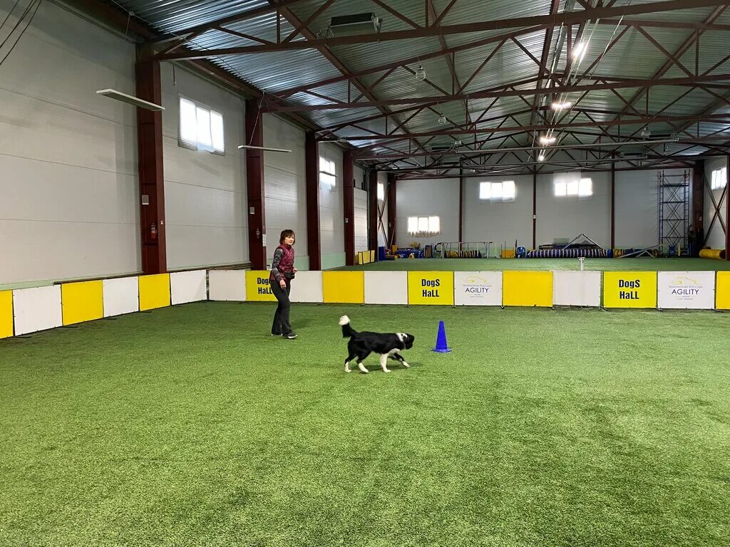 Dogs hall