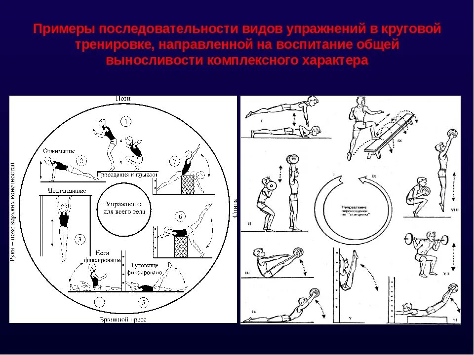 Комплекс упражнений с использованием метода круговой тренировки. Комплекс круговой тренировки на развитие выносливости. Комплекс упражнения в гимнастике круговая тренировка. Круговая тренировка на силовую выносливость упражнения. Схема круговой тренировки.