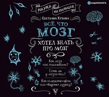 Аудиокниги мозг