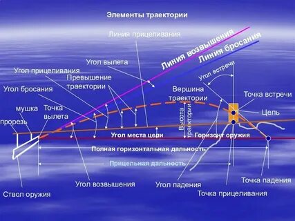 Найдите профессионализмы выделите их цветом антропометрия баллистика