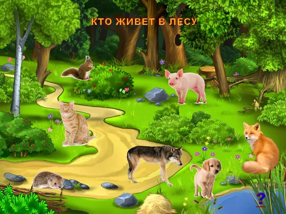 Интерактивная игра домашние. Животные леса для детей. Домашние животные и Лесные животные. Кто живет в лесу. Животные которые живут в лесу для детей.