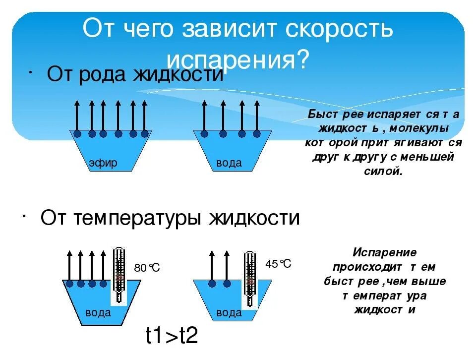 Какая наука изучает испарение воды. От чего зависит скорость испарения жидкости. От чего зависит скорость испарения. От чего зависит испарение. От чего зависит скорость испарения воды.