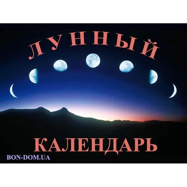 Баня лунный календарь на январь Lunar sowing calendar for January 2022 for gardener, gardener and flower grower