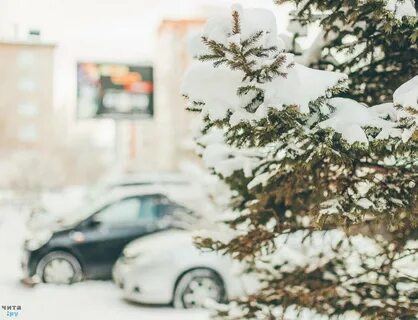 Гидрометцентр чита олд