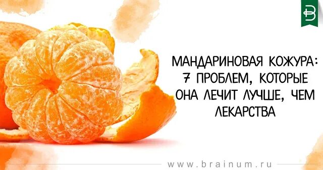 Мандариновой кожурой падеж. Мандариновая кожура витамины. Кот в мандариновой кожуре. Мандариновая кожура в медицине. Мандариновые таблетки витамин.