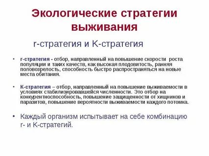 Популяции 11 класс презентация