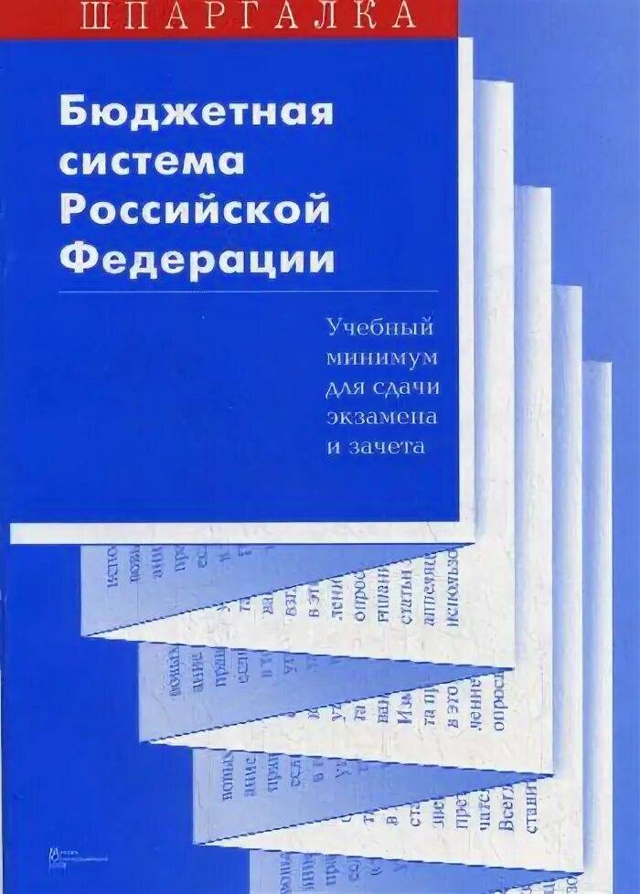 Книга бюджетный учет. Образовательный минимум 4 класс.