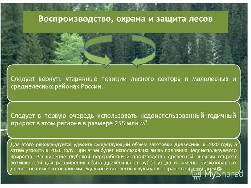 Об утверждении правил использования лесов. Виды пользования лесом. Министерство природных ресурсов и экологии ведение. Правовой режим использования и охраны лесов. Об утверждении правил использования лесов.
