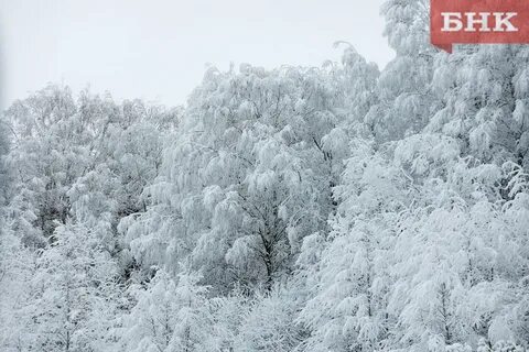 Снова зима и мороз