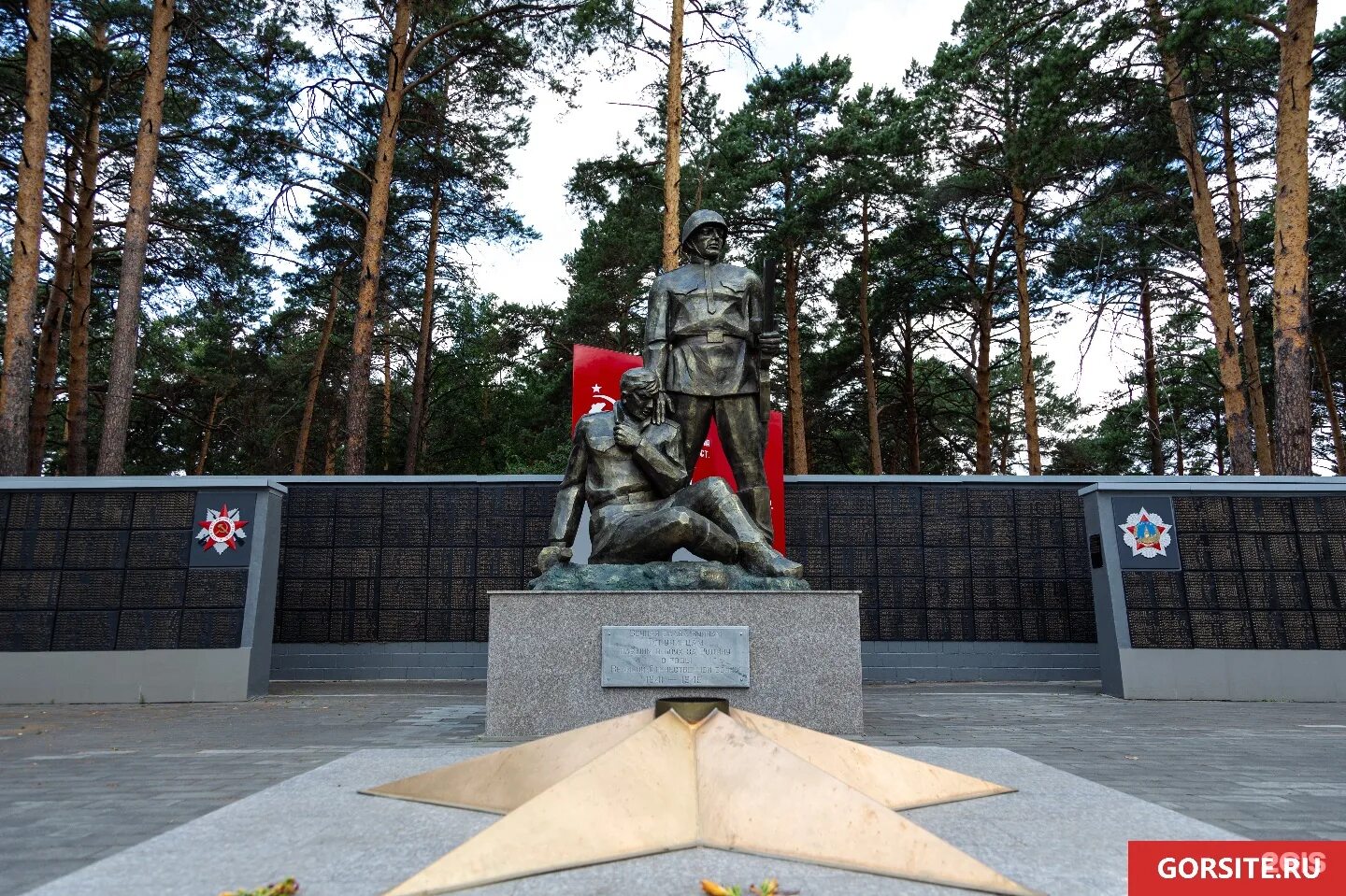 Тогучинский кдц