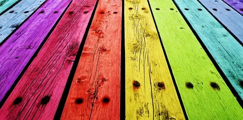 Colorful woods