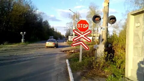 Васильков 1