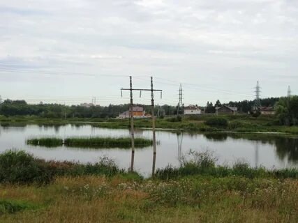 Карасевый пруд