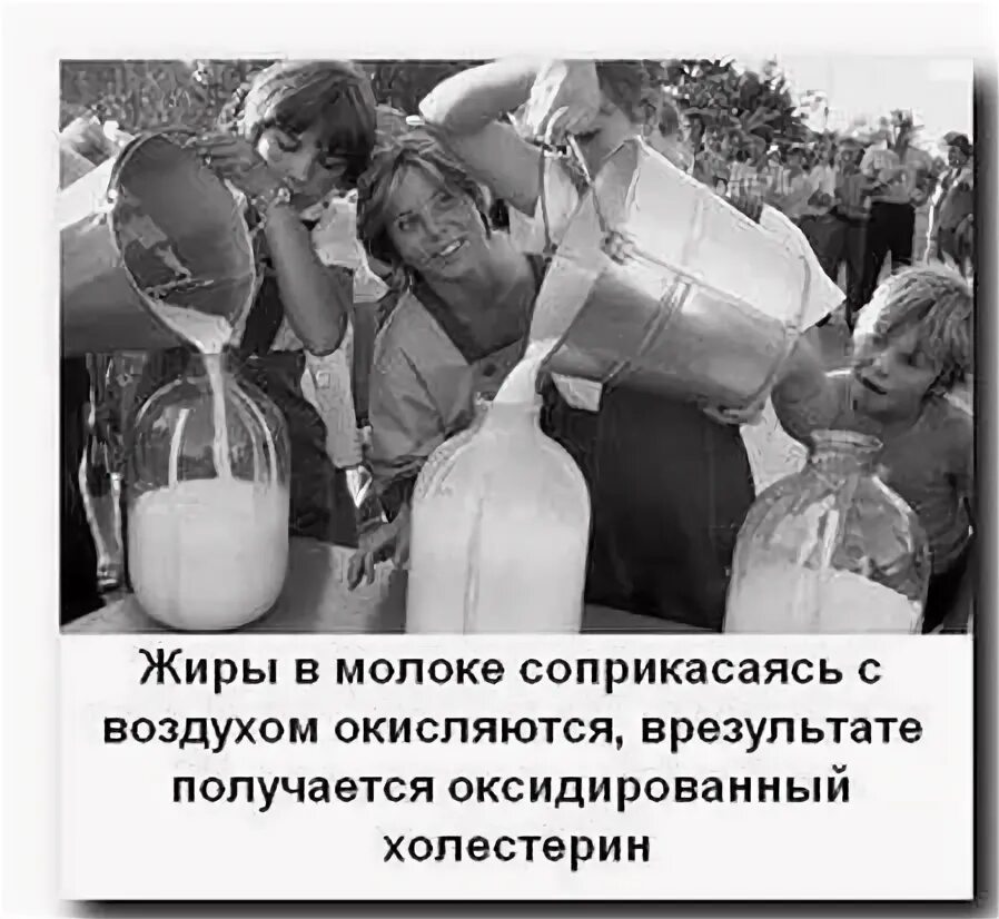 Статуи пьют молоко разоблачение. Молоко вредно прикольные картинки. чем вредно молоко. скажи 10 раз молоко. когда молоко опасно для человека.