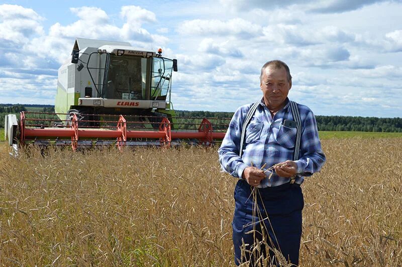 спк заря починковский район. колхоз ильино-заборское нижегородская область. сельское хозяйство вадский район. колхозы пильнинского района нижегородской области. колхоз на ваду нижегородская область.