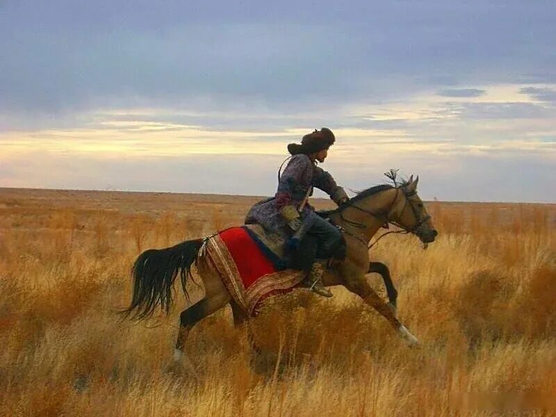Люди живущие в степи. Монгольский художник Талгат Тлеужанов. Степной всадник. Всадник в степи. Кочевники в степи.