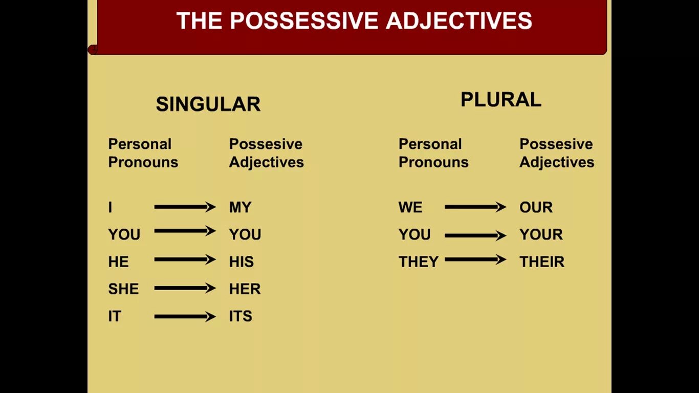 He your. Possessive adjectives. Possessive adjectives таблица. Adjective pronouns. Possessive adjectives предложения.