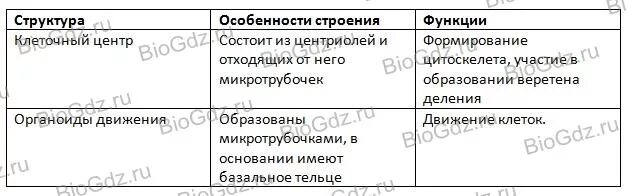 Клеточный центр строение и функции таблица. Клеточные включения строение и функции таблица. таблица строение клетки включения. клеточные включения строение и функции. клеточный центр особенности строения и функции таблица.