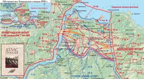 Ленинградская операция 1941