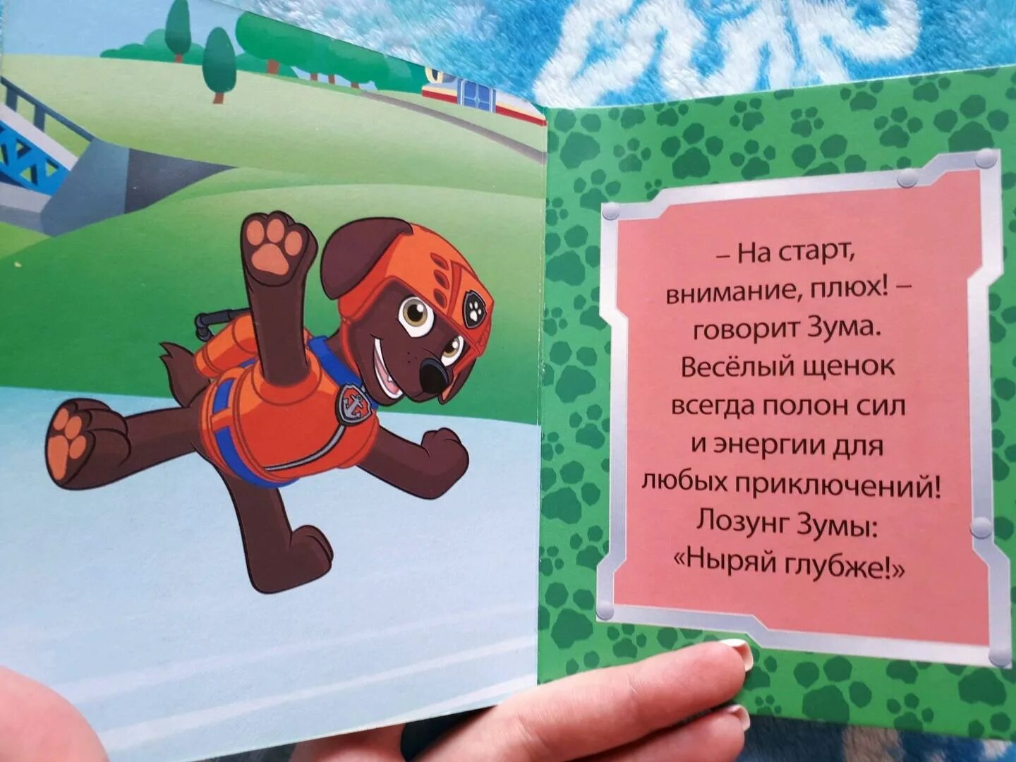 Какого пола зума из щенячьего. Какого пола зума из щенячьего