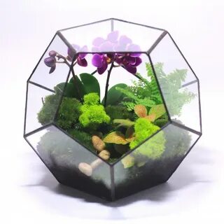 Биосфера растения
