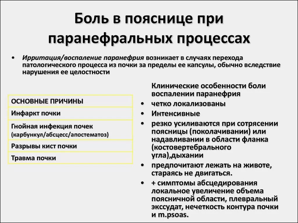 Симптомы поражения почек. Признаки болезни почек. Симптомы при патологии почек. Проявления заболеваний почек.