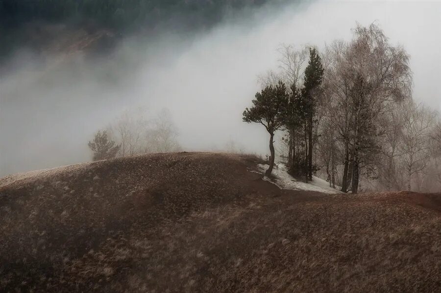 Сизая пелена. Пелена. Туман пелена фото. Пелена легкий туман картинка.