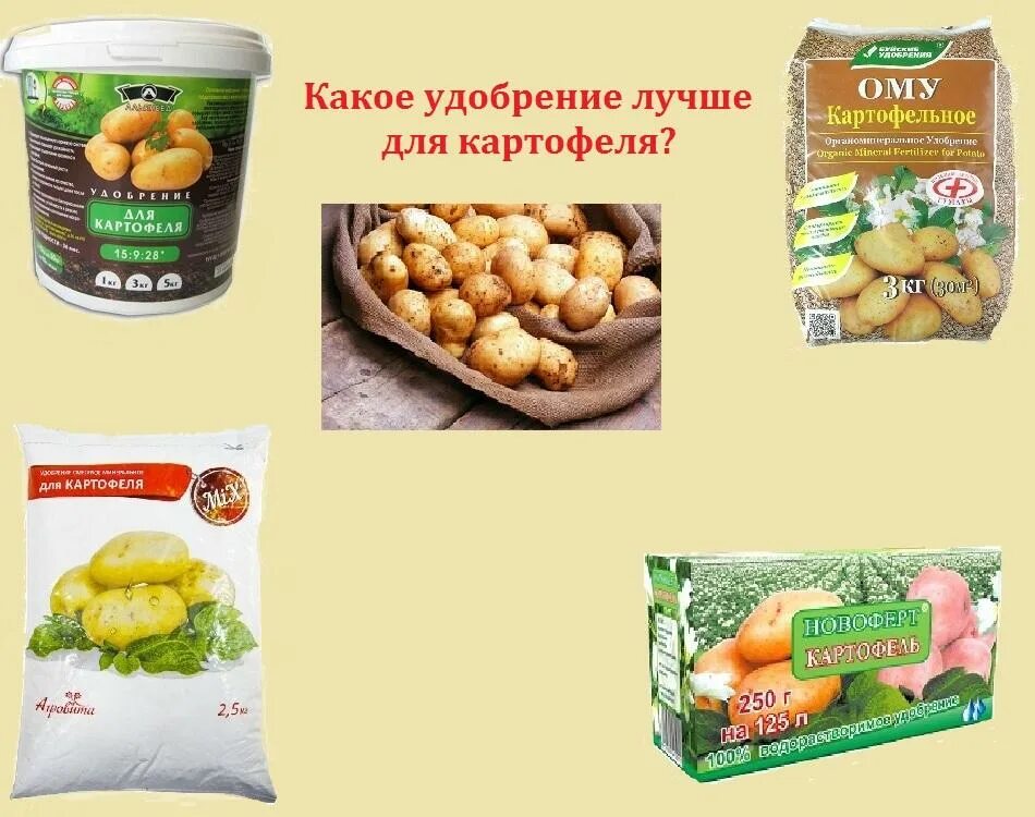 Какие удобрения для картофеля. Удобрение для картофеля. минеральные удобрения для картофеля. органическое удобрение для картофеля. стимулятор роста для картофеля.