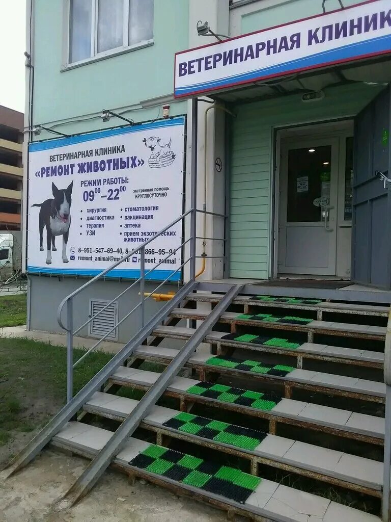 ветклиника воронеж работа. ветклиника воронеж работа. ветклиника воронеж работа. ветклиника воронеж работа. ветклиника воронеж работа.