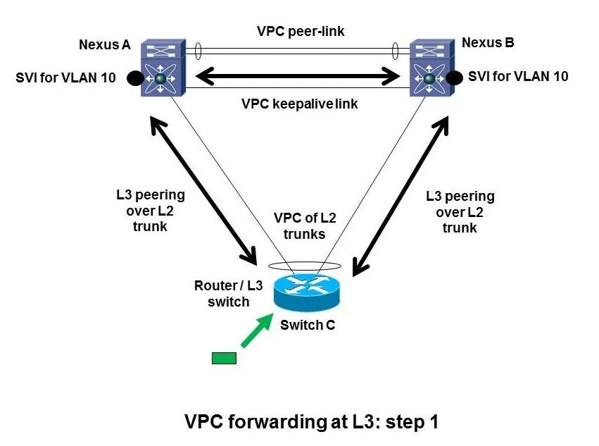 VPC Cisco. VPC Nexus. Американская система VPC. VPC Nexus Router.