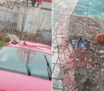 Когда перестанут бить по белгороду