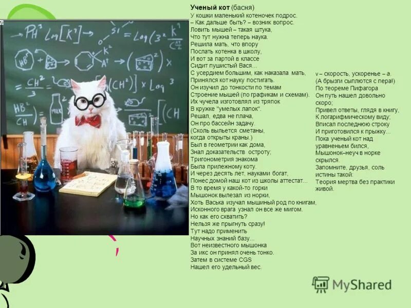 песня ученый кот. стихи по геометрии. песня ученый кот. кот знаюн. кот ученый гуляет.