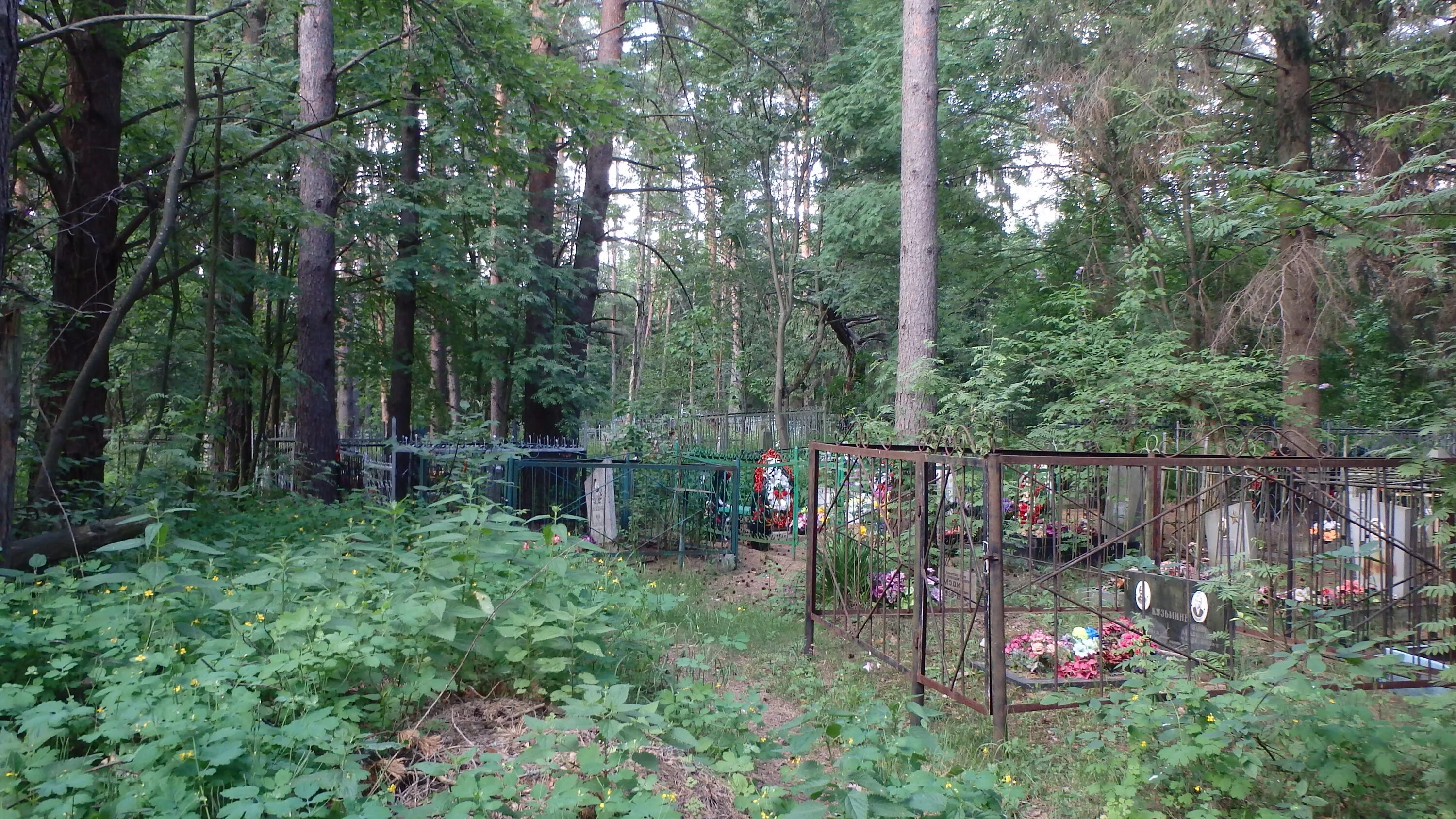 фенино кладбище официальный сайт. фенинское кладбище официальный сайт. фенинское кладбище балашиха. фенинское кладбище, деревня фенино. кладбище фенино железнодорожный.