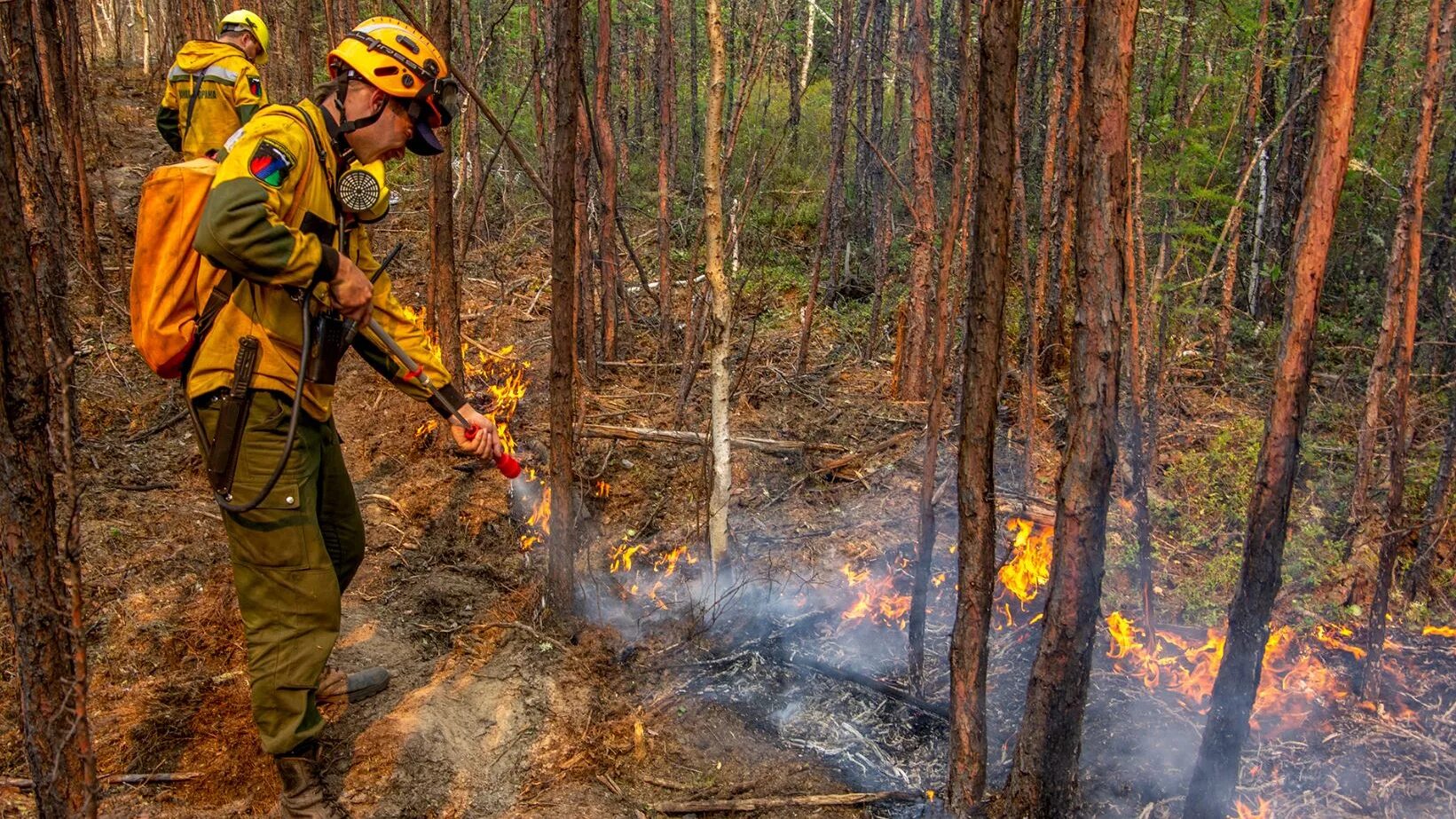 Лесной пожар БНК Коми. Пожар фото. Лесные пожары в Сибири. Тушение лесных пожаров.
