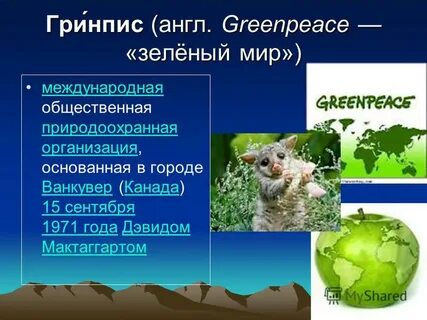 Гринпис перевод с английского