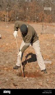 Take a dig