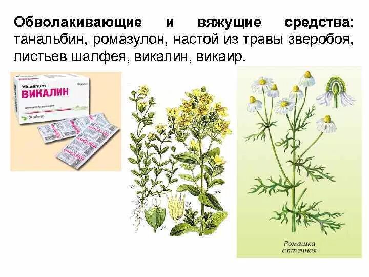 Вяжущие обволакивающие. Вяжущие обволакивающие