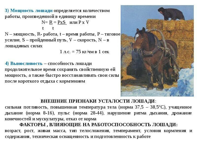 Сколько в лошади лошадиных. Мощность работы лошади. мощность лошади формула. определить величину работы лошади. сила тяги лошади.