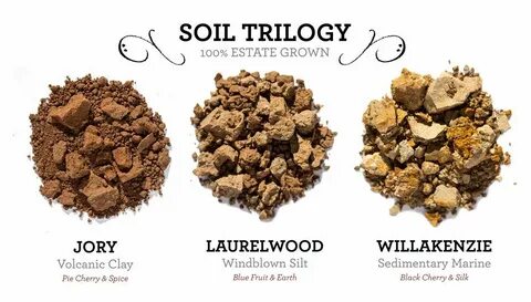 Soil перевод
