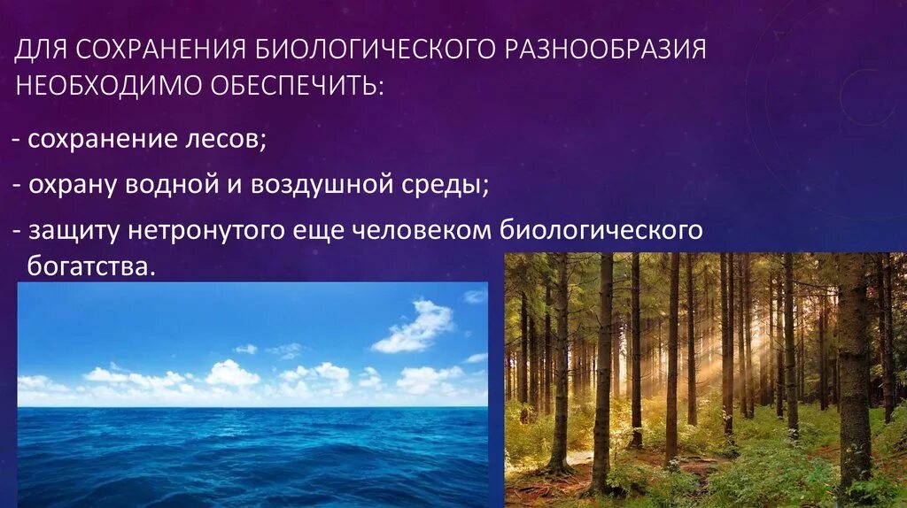 Видовое разнообразие примеры. Сохранение биоразнообразия. Принципы сохранения биоразнообразия. Проблема снижения биоразнообразия. Проблема сохранения биоразнообразия.