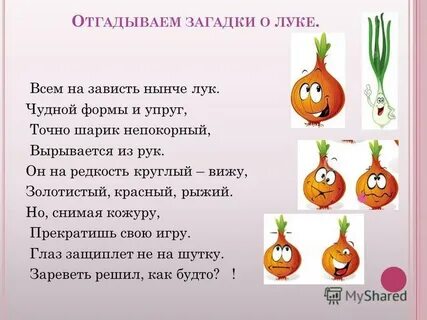 Загадка лук
