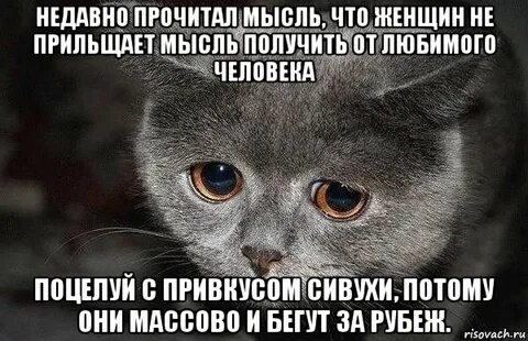 Твои наверно