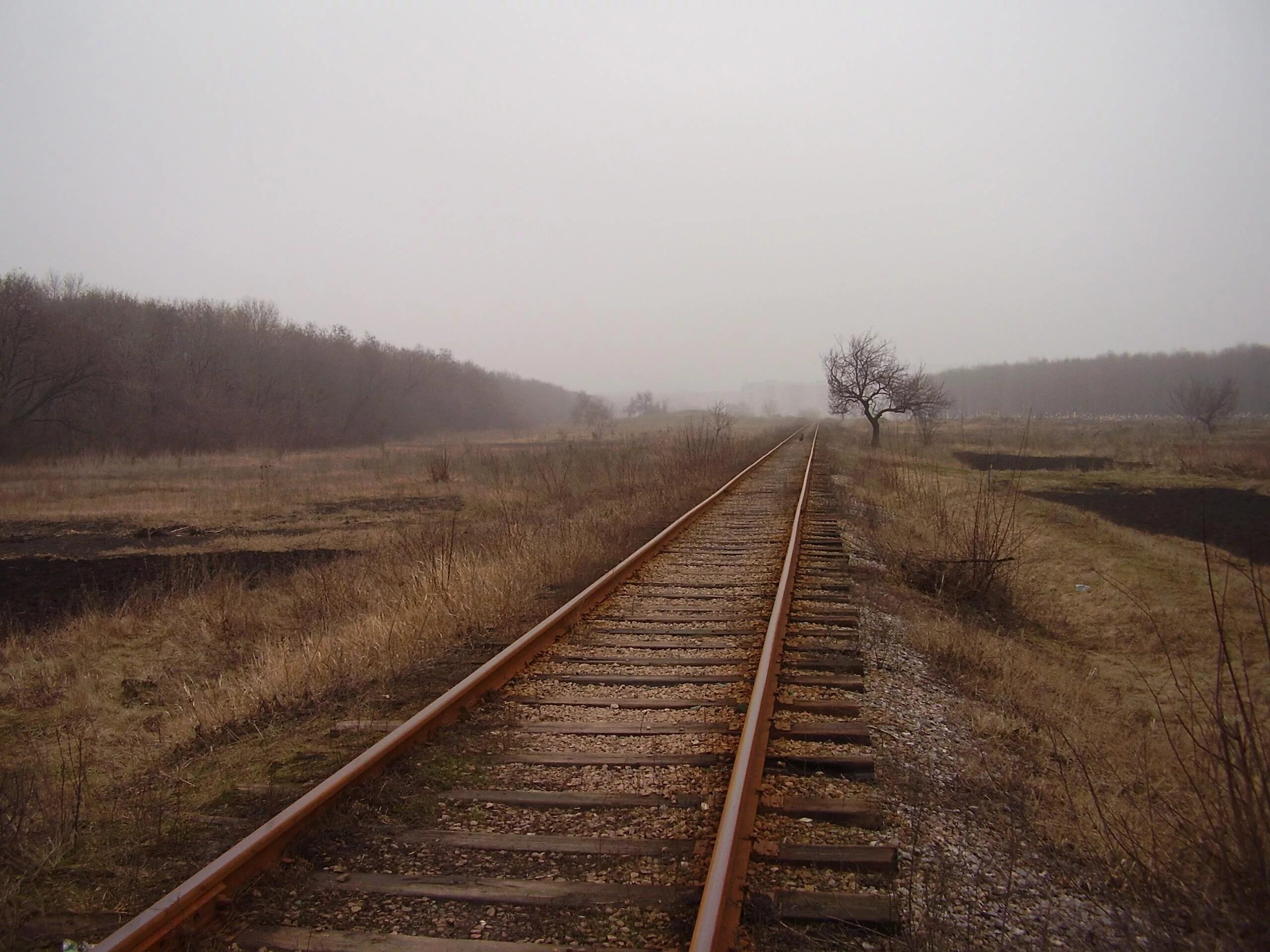 Обои плохого качества. Железная дорога. Железная дорога в никуда. Железная дорога в поле. Поле у железной дороги.