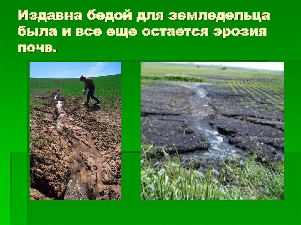 Пути решения эрозии. Борьба с эрозией почв. эрозия почв меры. способы борьбы с эрозией почв. меры по защите почв от эрозии.