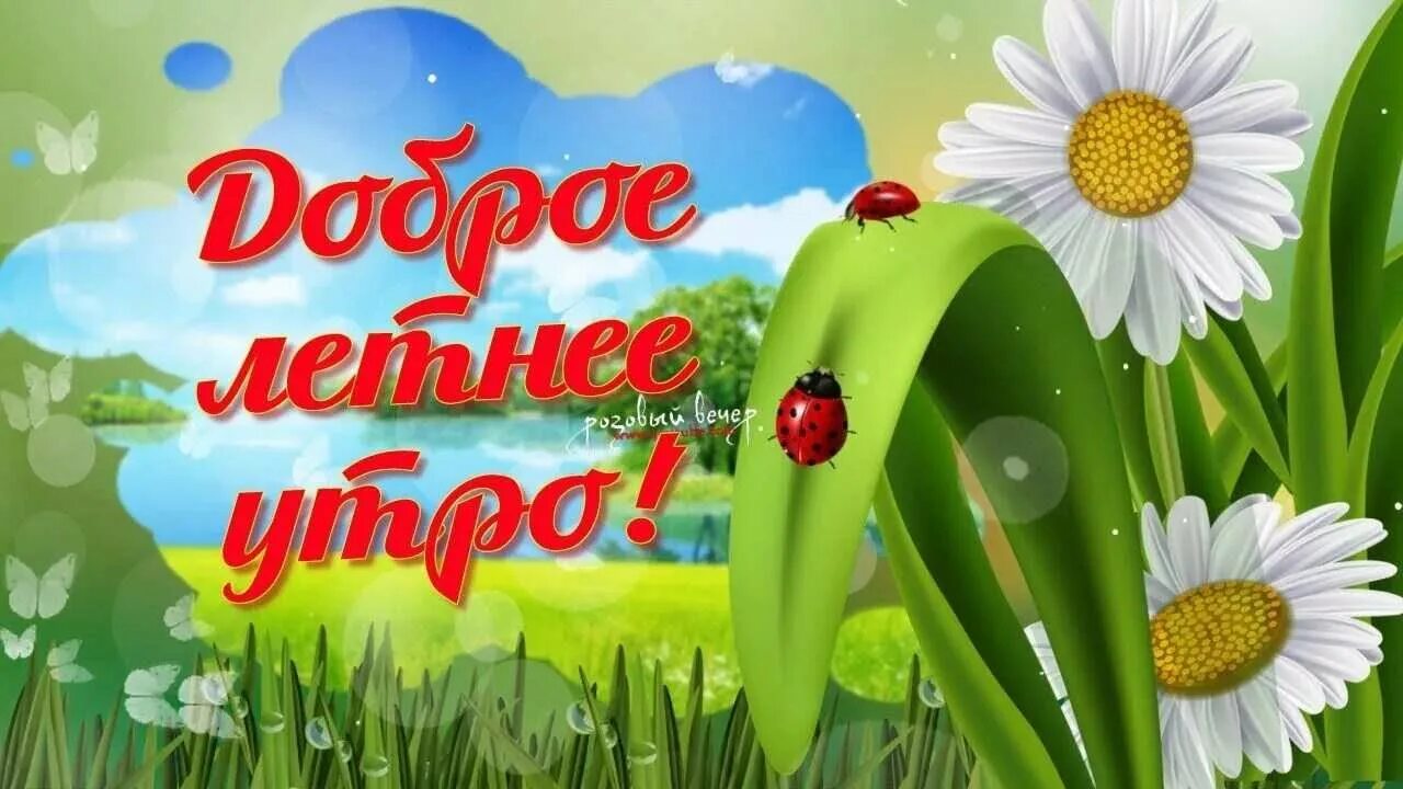 Картинки доброе утро с первым днем лета. Открытки с летним утром. открытки с летом.