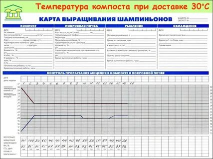 Перечень технологических приемов ухода за шампиньонами