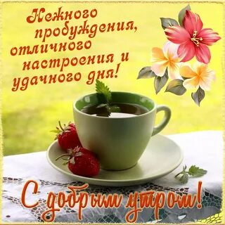 Хорошее утро и классный день картинки