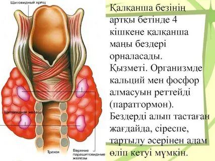 Эротикалық видео: Дөрекі топтық сексті қараңыз